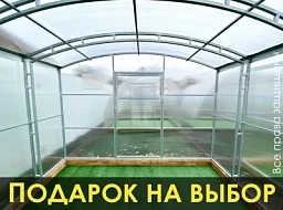 Теплица «ПРЯМОСТЕННАЯ» 3м двойные дуги